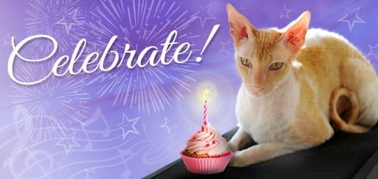 Frasier celebrates Rejuvent's 10th anniversary