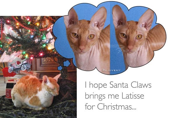 Frasier Says...