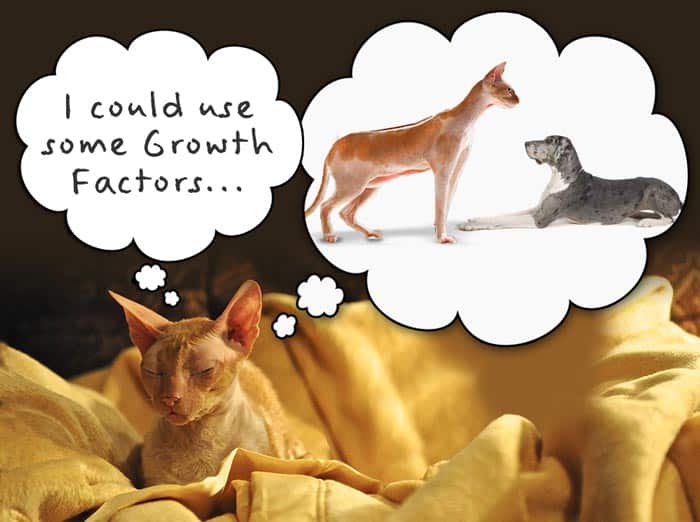 Frasier Says Growth Factors