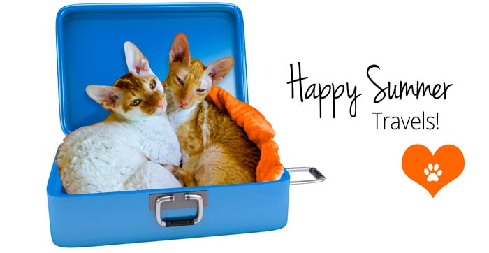 happy-travels-frasier