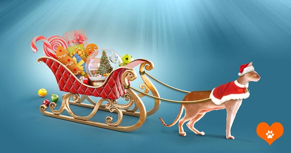 Happy Holidays from Rejuvent