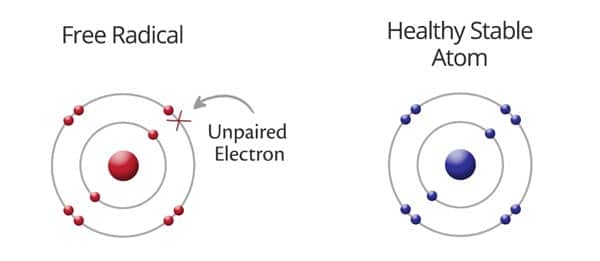 Free radicals and