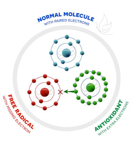 Atoms with missing electrons and antioxidants
